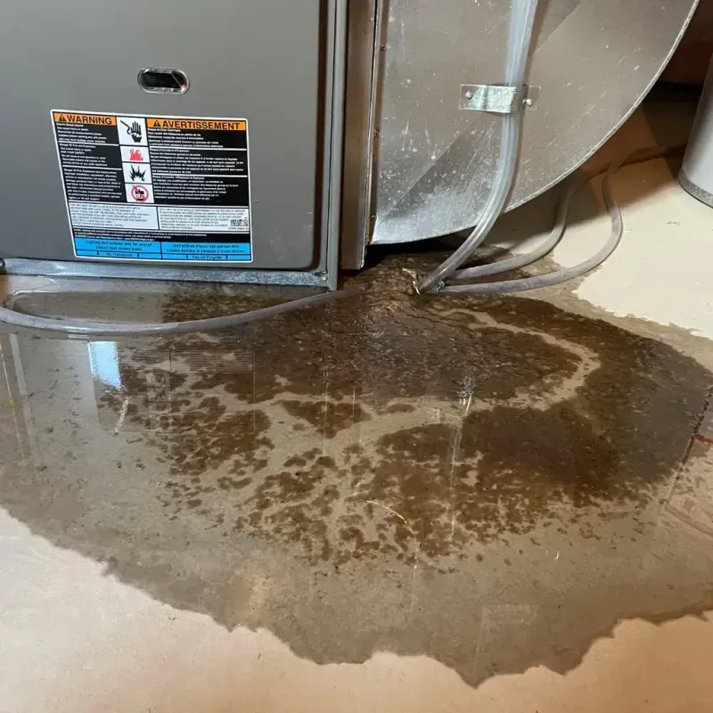 Appliance Leak Cleanup in Irondale, AL